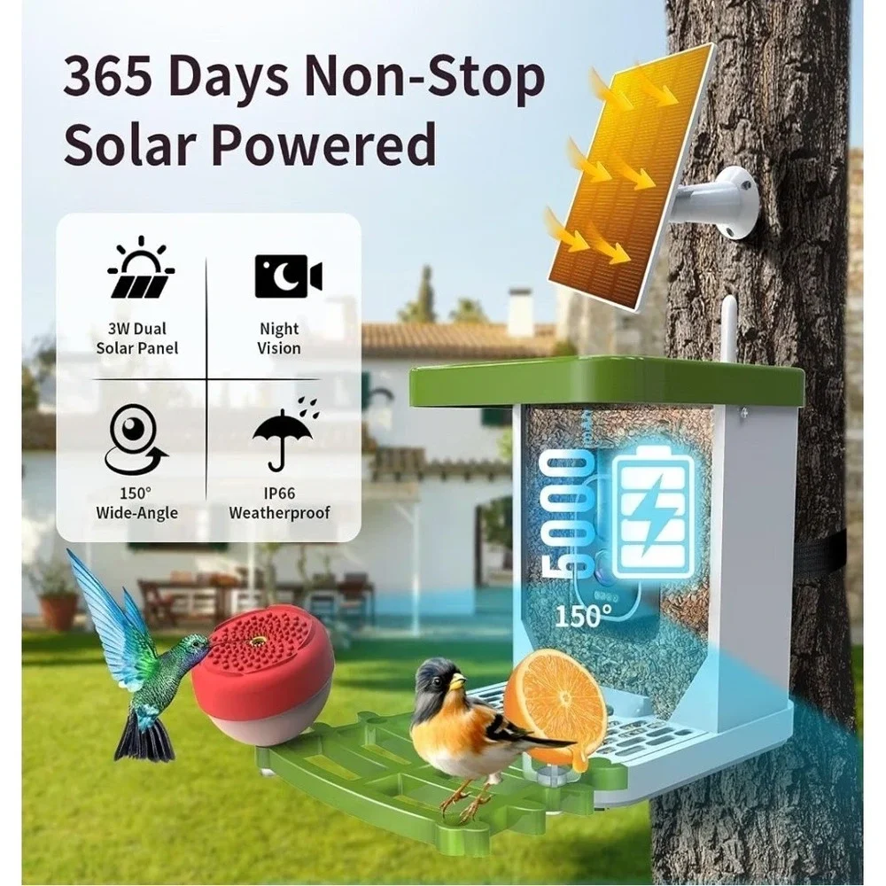 2K Smart Bird Feeder Camera, Solar, AI Bird ID, WiFi, Green
